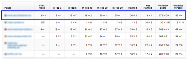 experimento SEO contenido